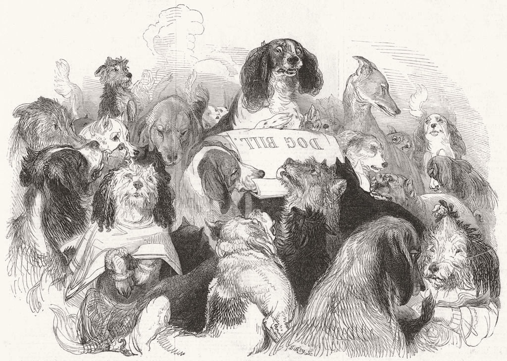 DOGS. The Dog Bill Committee 1844 old antique vintage print picture